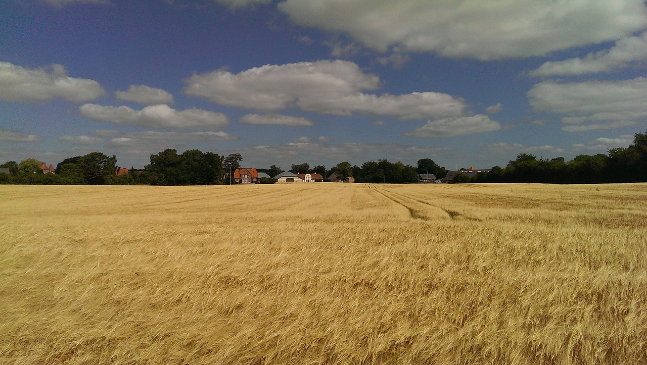 Image - greifswald corn clouds