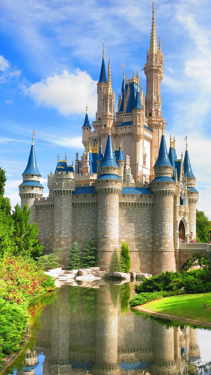 Image - walt disney world disney castle