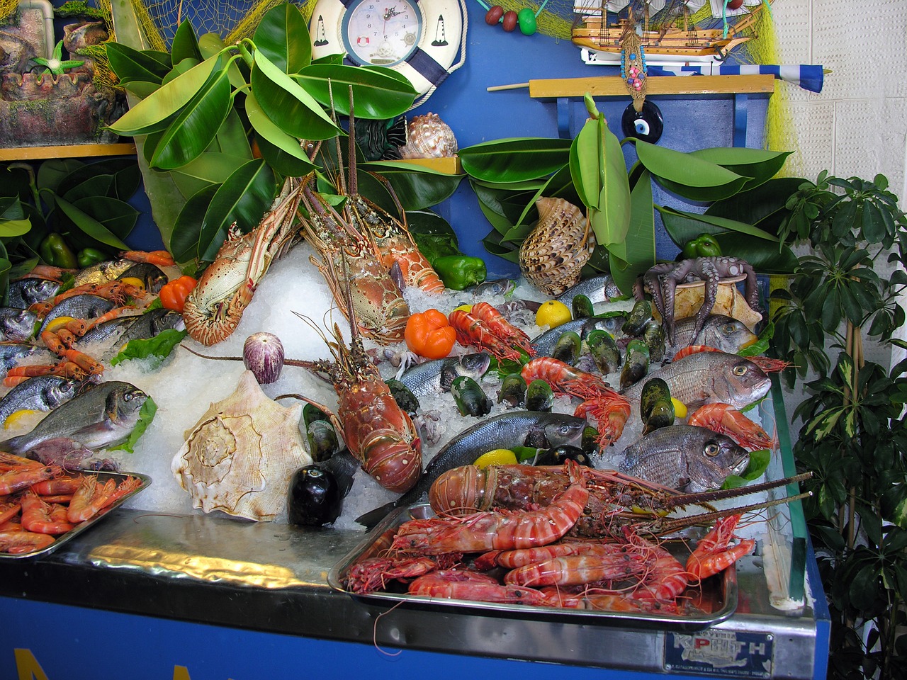 Image - fish fish stall greece
