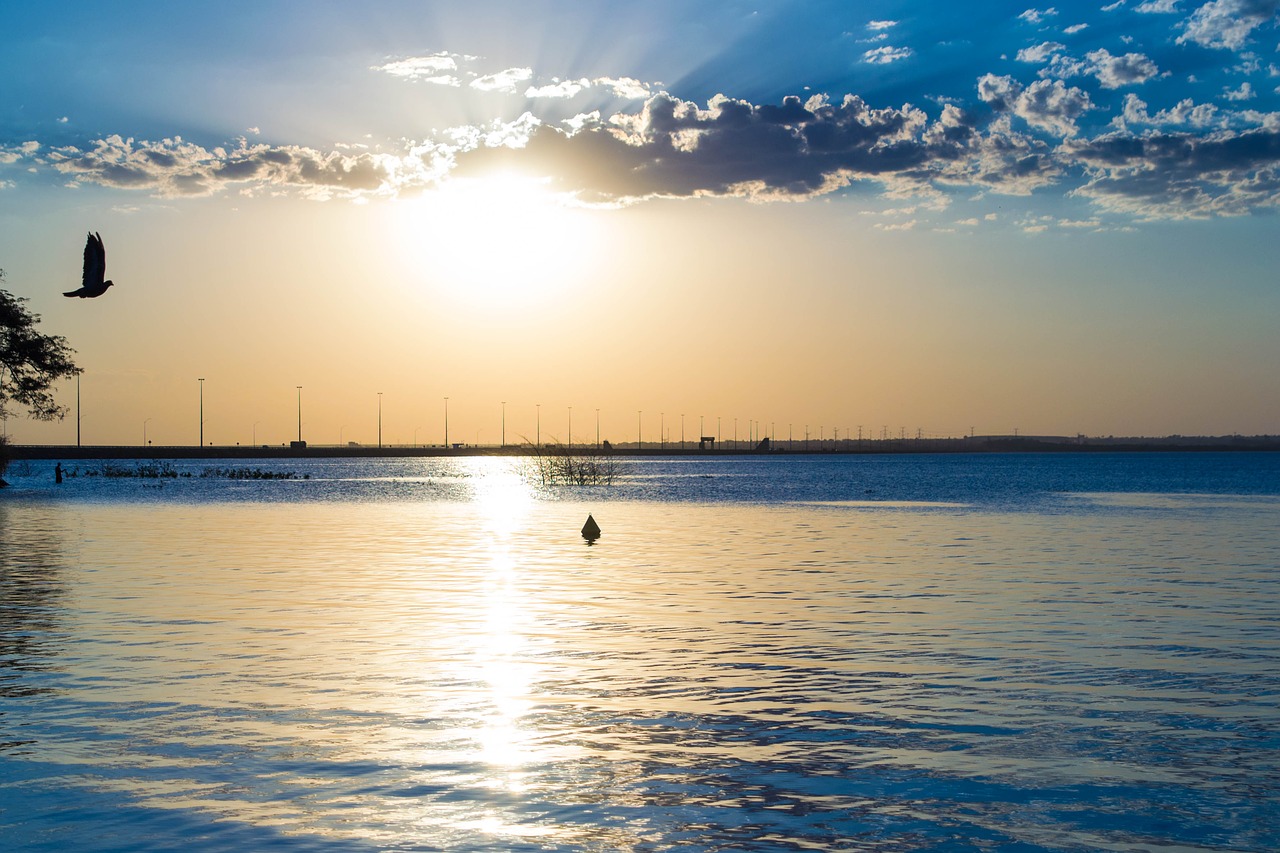 Image - rio clouds sol bird nature water