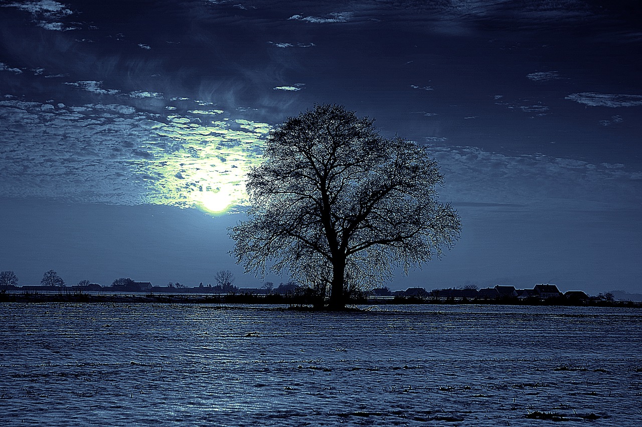 Image - tree night moon glow lonely field