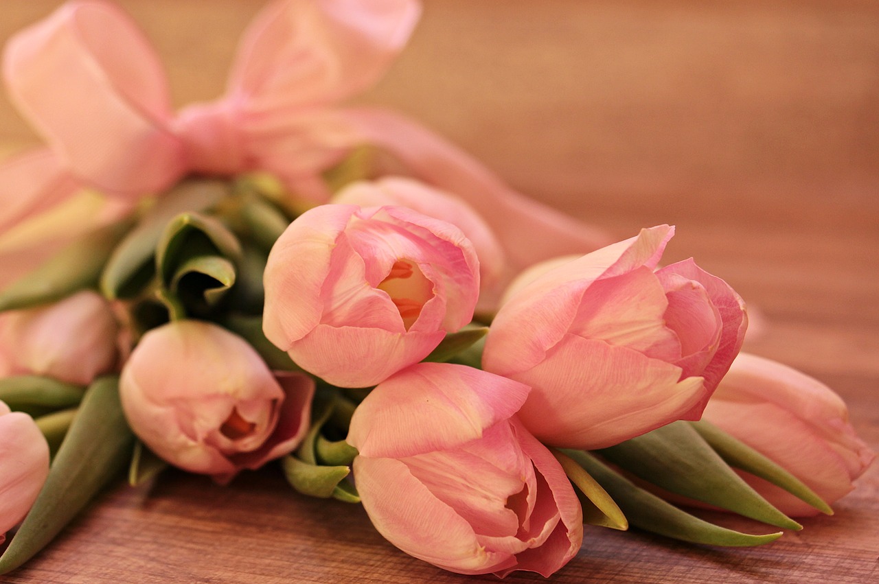 Image - tulips tulipa flowers schnittblume