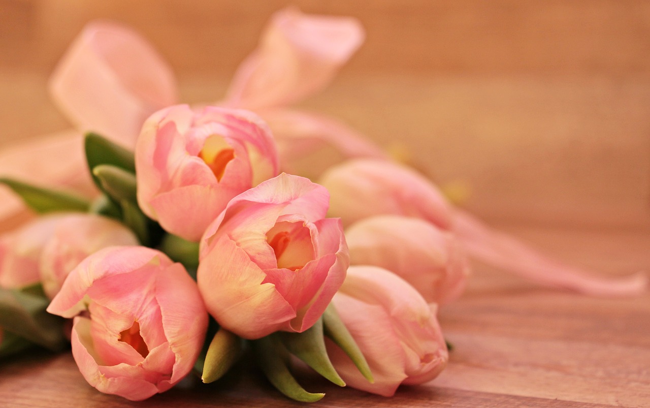 Image - tulips tulipa flowers schnittblume