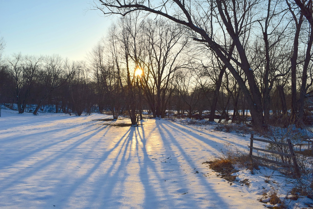 Image - snow park sunset light shadows