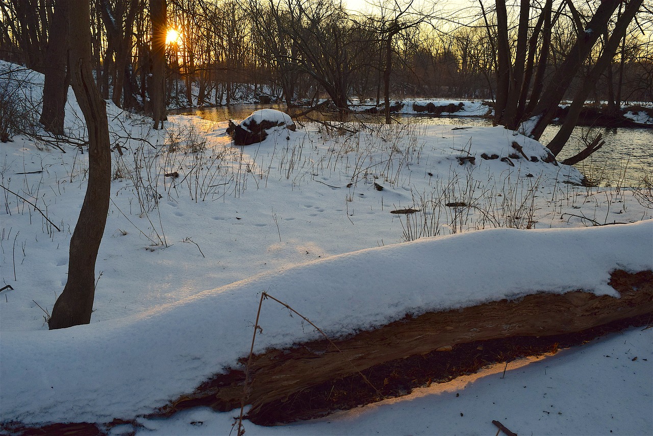 Image - snow park sunset light shadows
