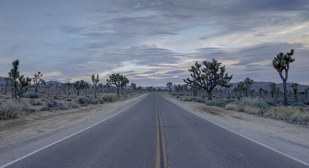 Image - road desert joshua tree empty