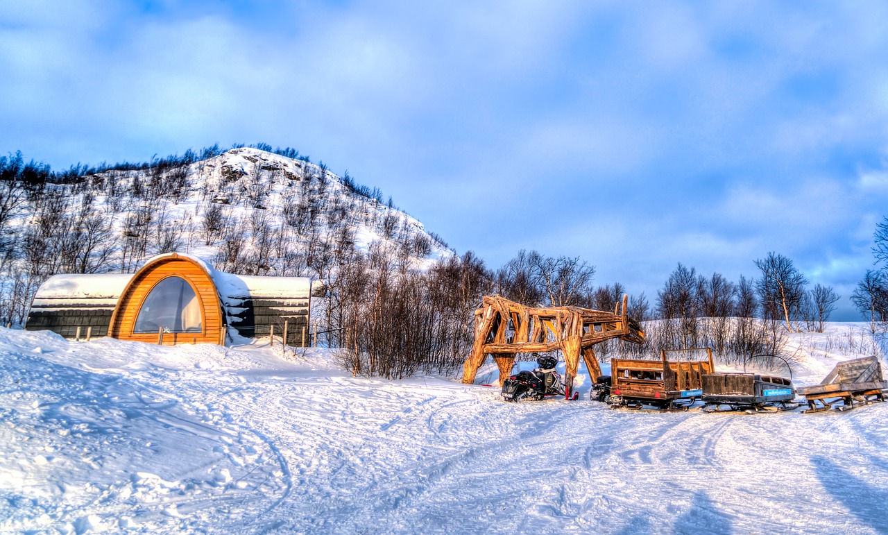 Image - kirkenes norway wooden horse