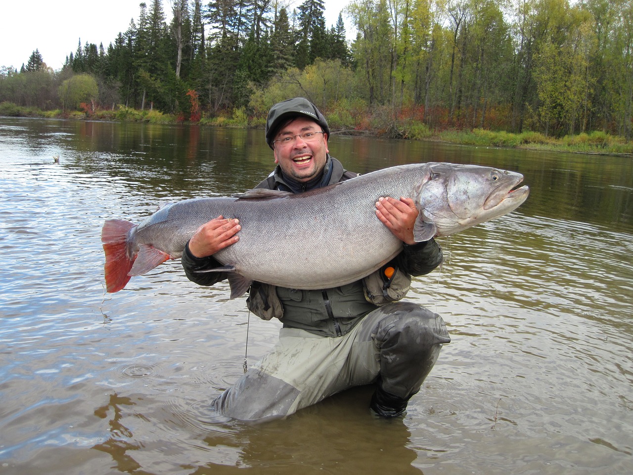 Image - fish trout fisherman river nature