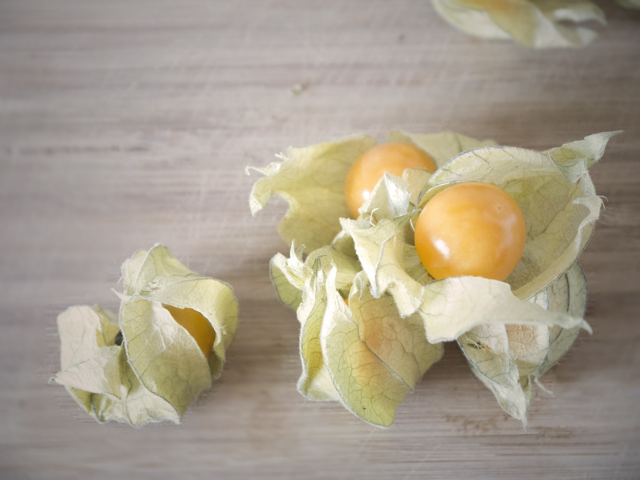 Image - physalis healthy fruit orange