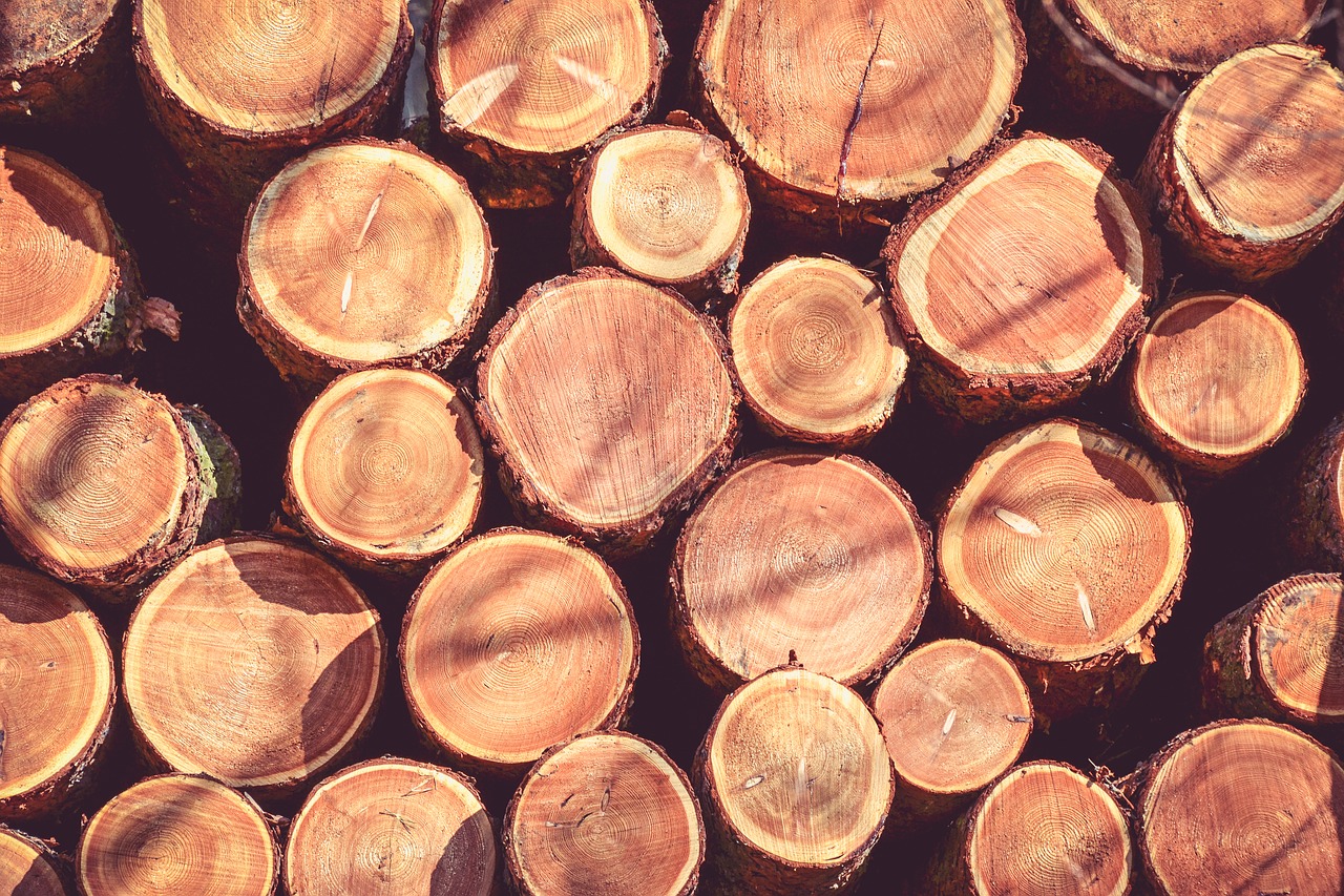 Image - wood strain tree bark trunk rings
