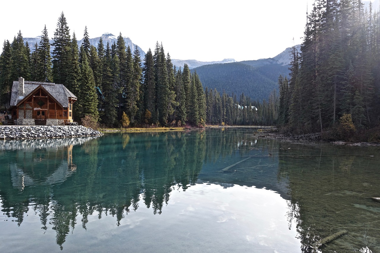 Image - water shore reflection lake nature