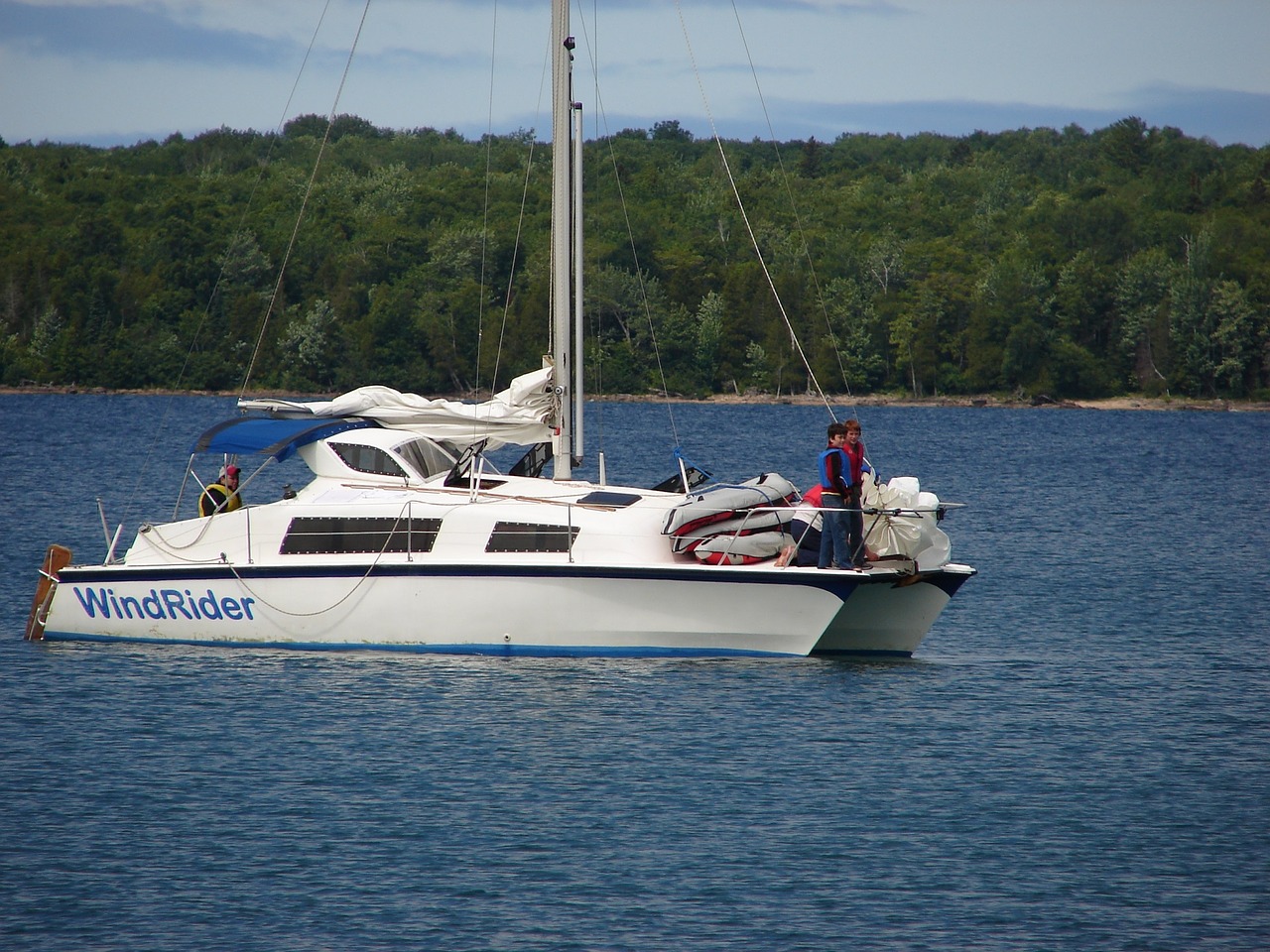 Image - catamaran sailboat sailing cat