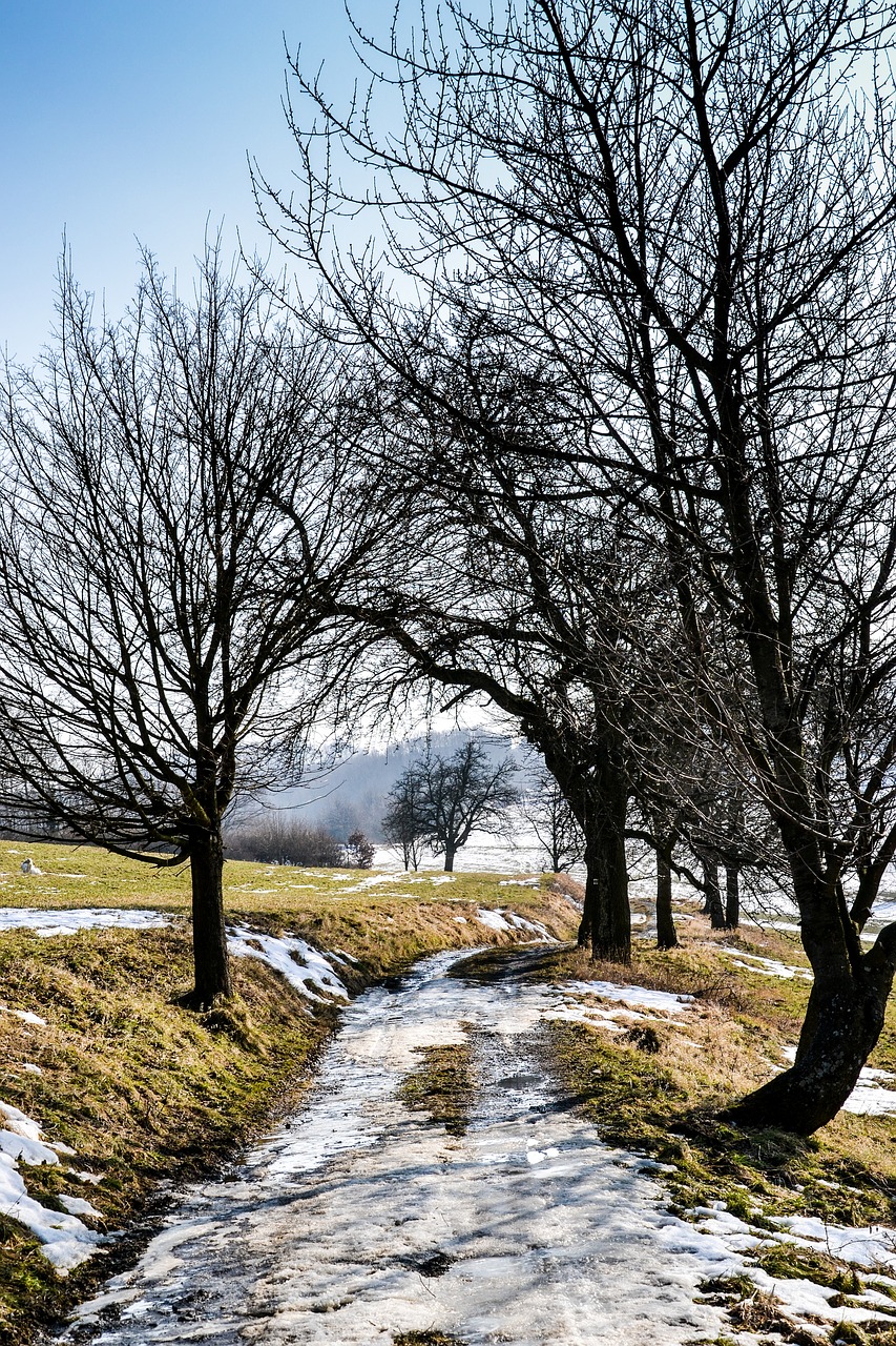 Image - landscape snow path winter nature