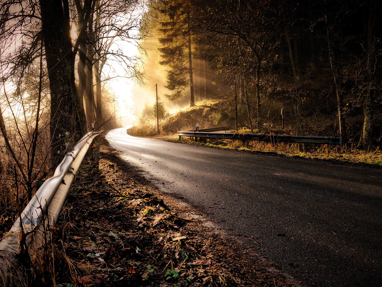 Image - road forest sunshine haze