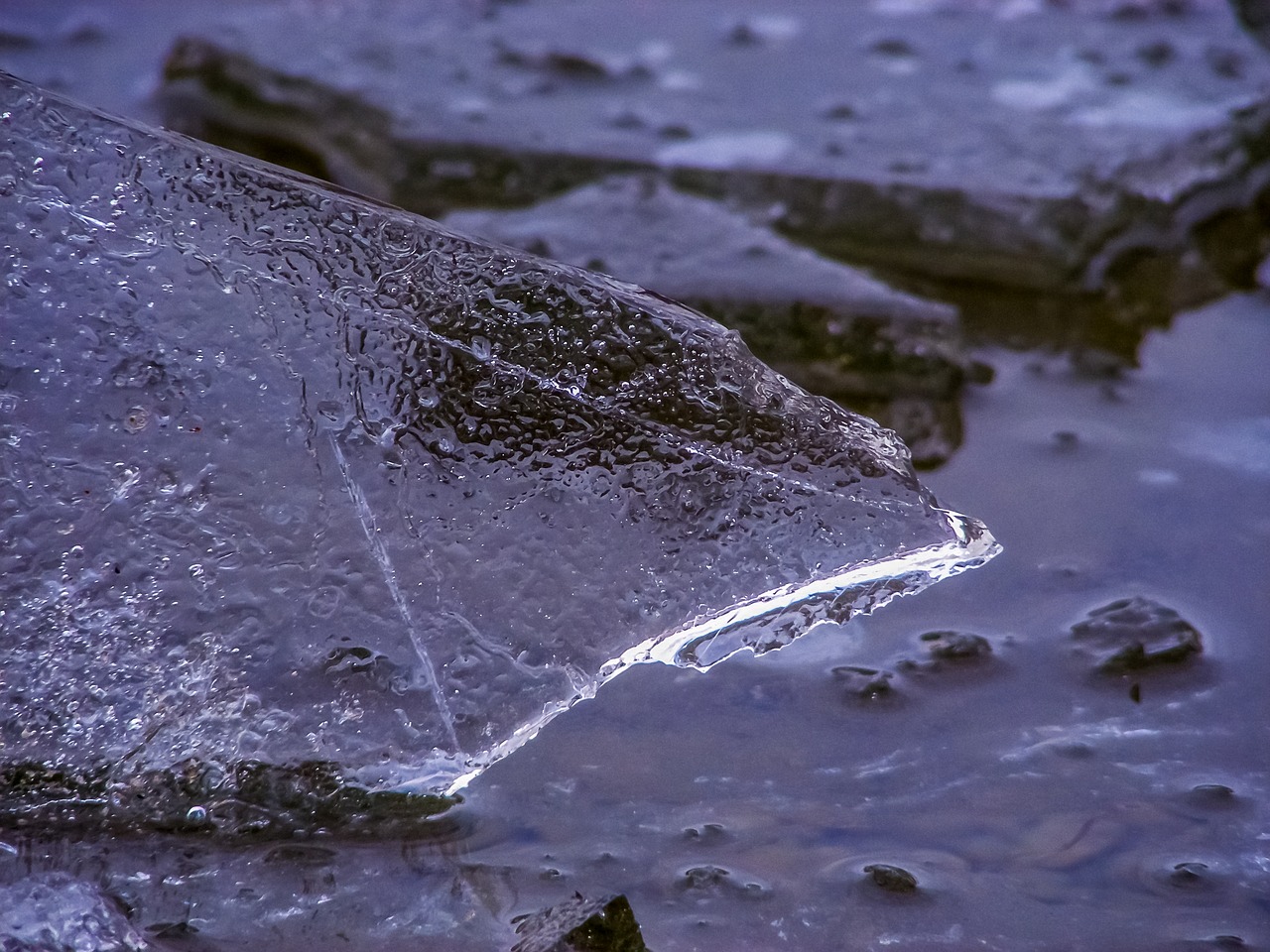 Image - ice ice floe frozen frost cold