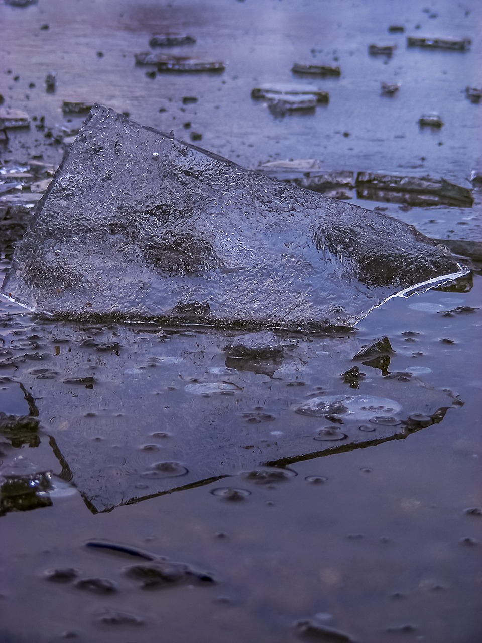 Image - ice floe ice blue winter cold