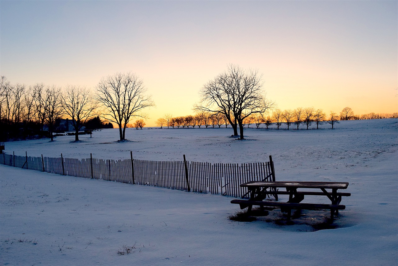 Image - snow fence tree sunset shadow