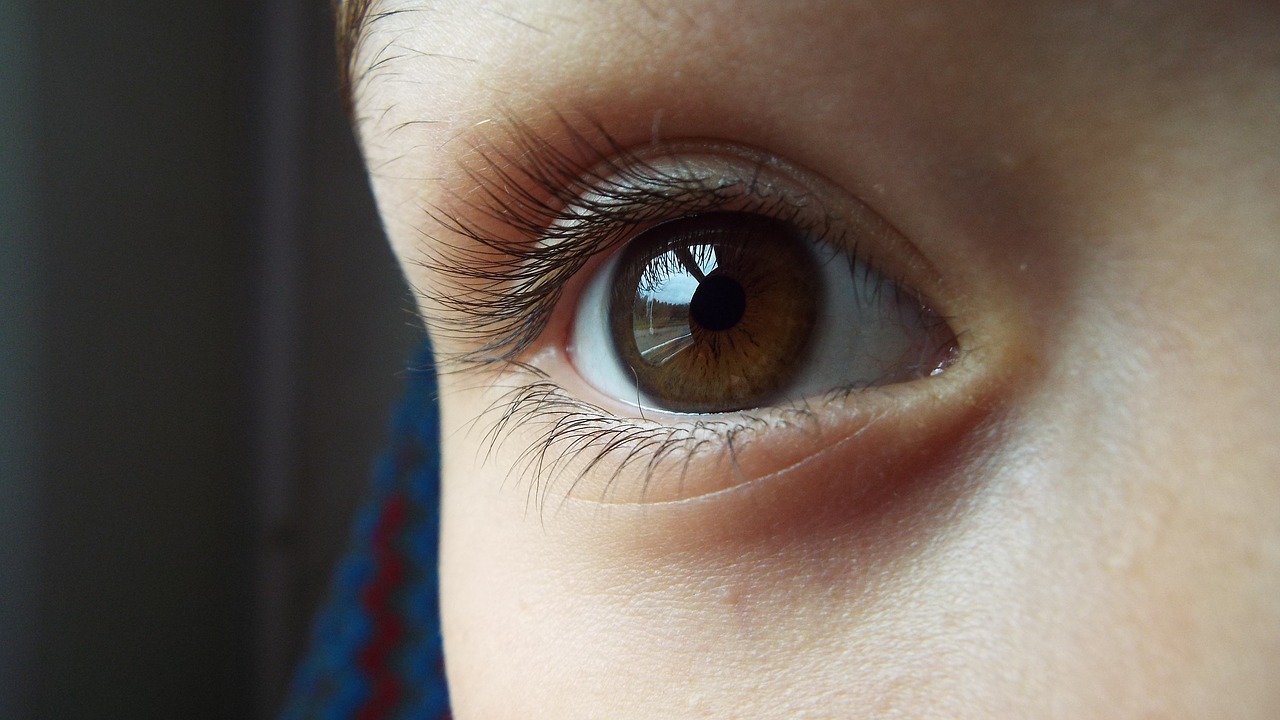 Image - eye brown brown eyes iris beauty