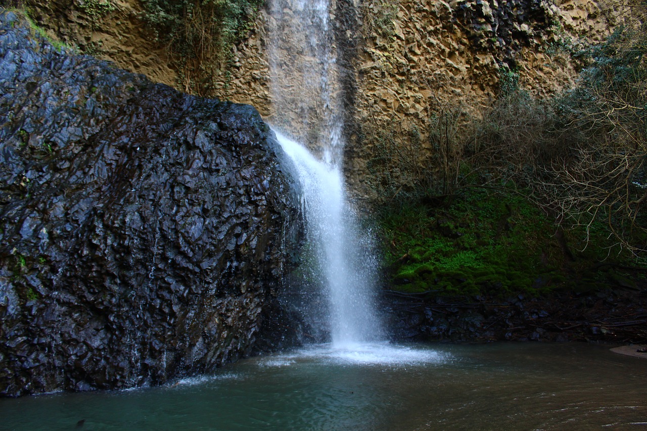 Image - green forest landscape waterfall