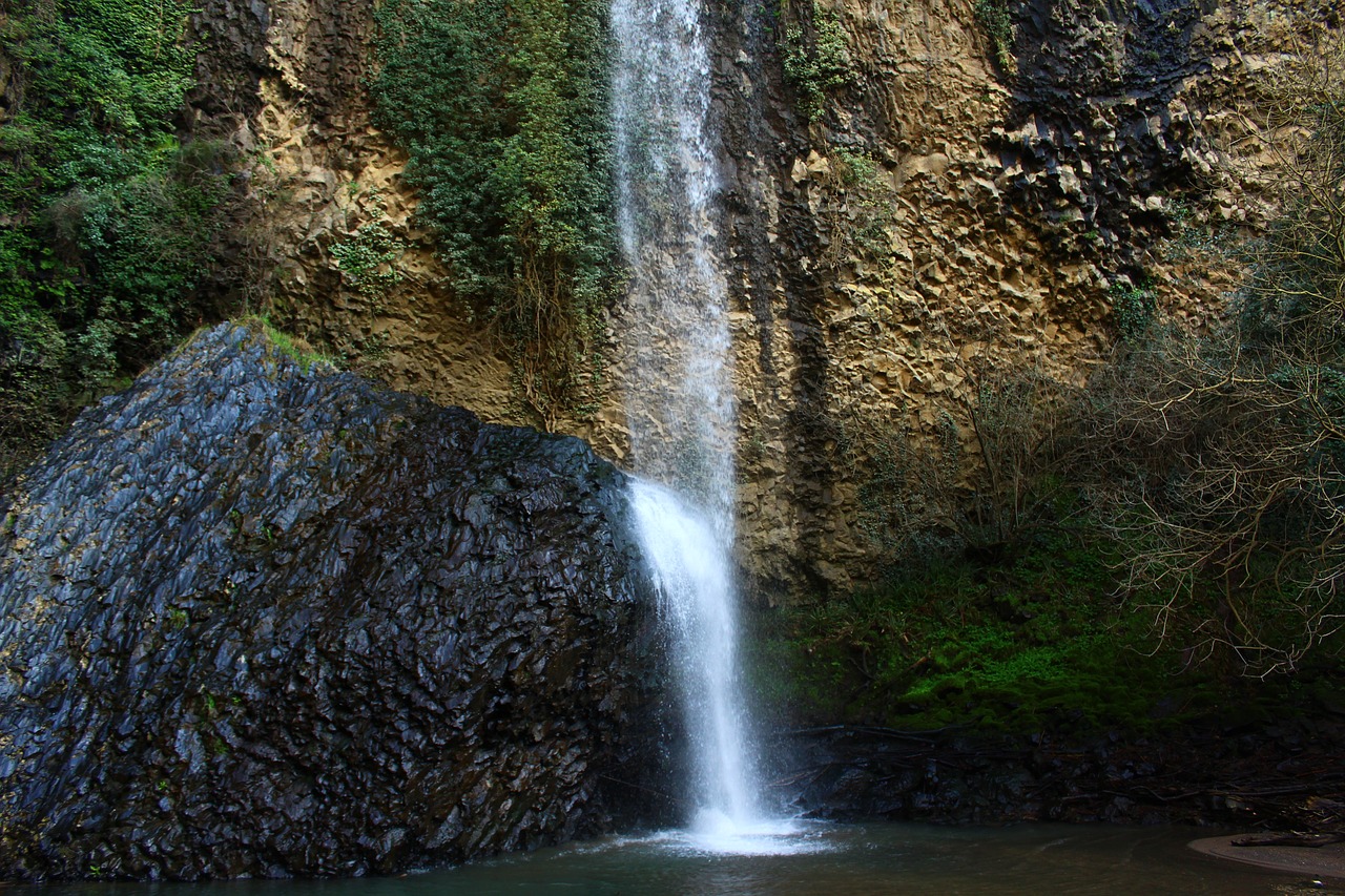 Image - green forest landscape waterfall