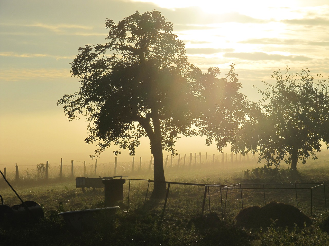 Image - morning mist morning dew landscape