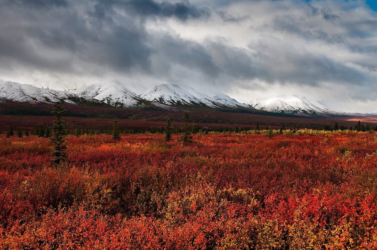 Image - landscape autumn mountains snow