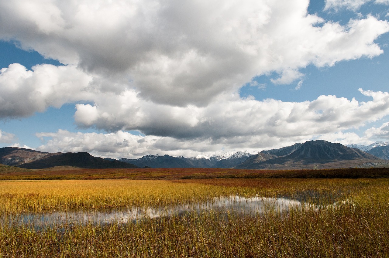 Image - ephemeral pond landscape scenic