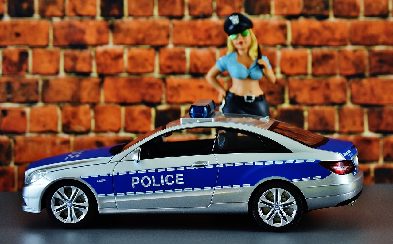 Image - policewoman police police car