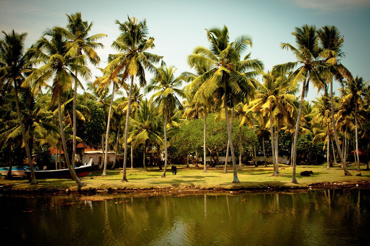 Image - south india backwaters india kerala