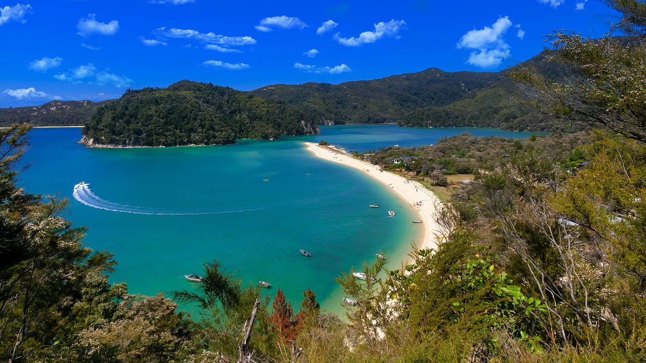 Image - holiday beautiful beach new zealand