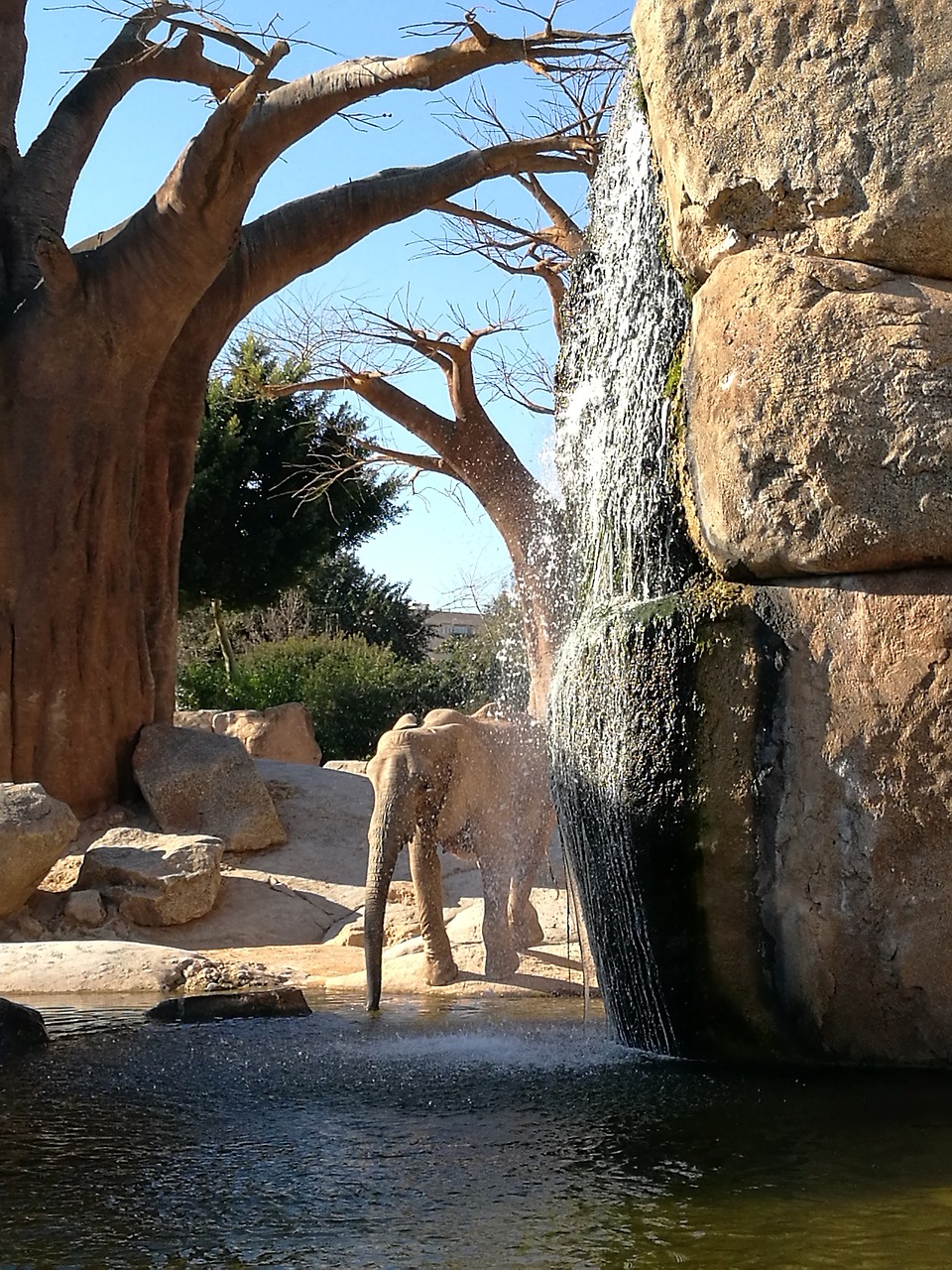 Image - elephant waterfall shroud nature