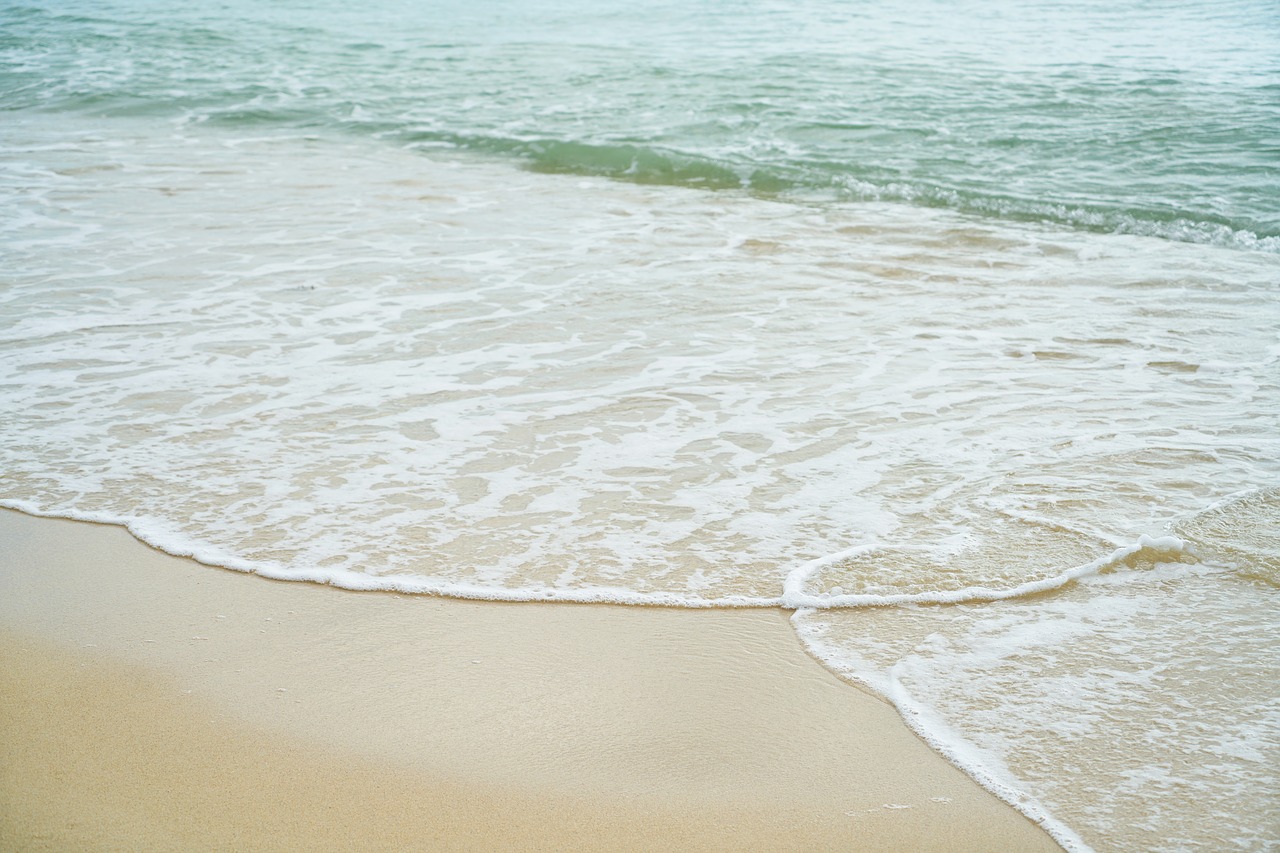 Image - see beach sand summer nature