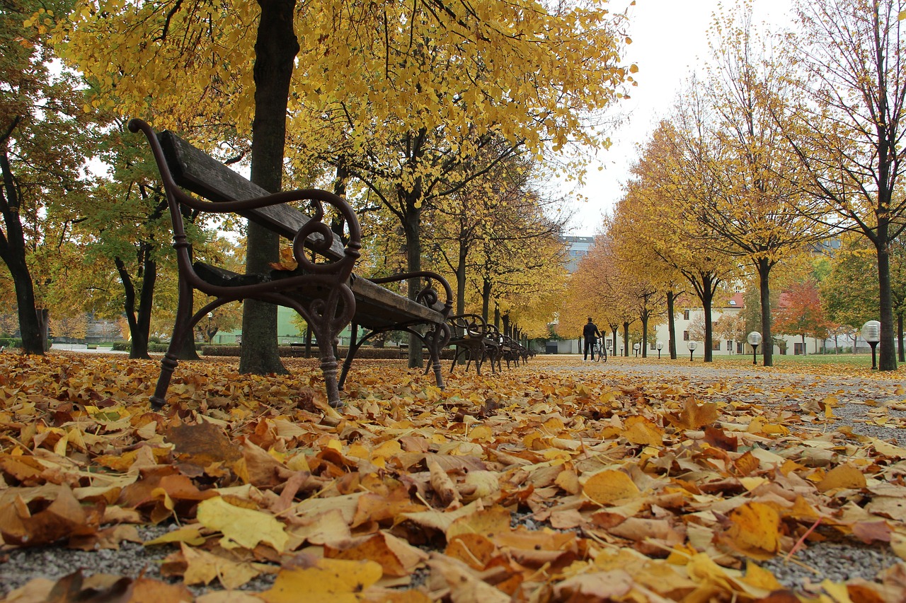 Image - autumn leaf country nature bench