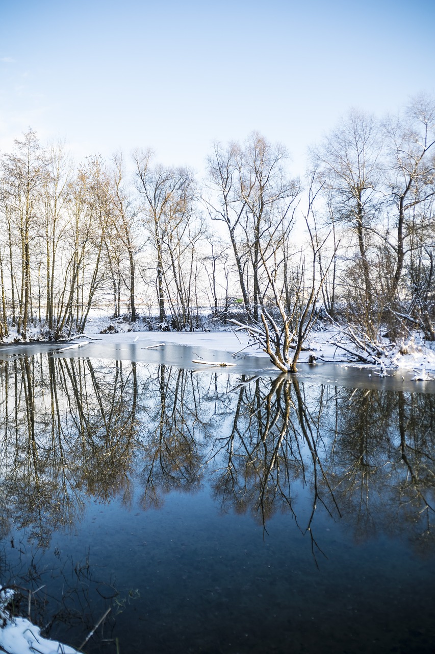 Image - winter mirroring trees water snow