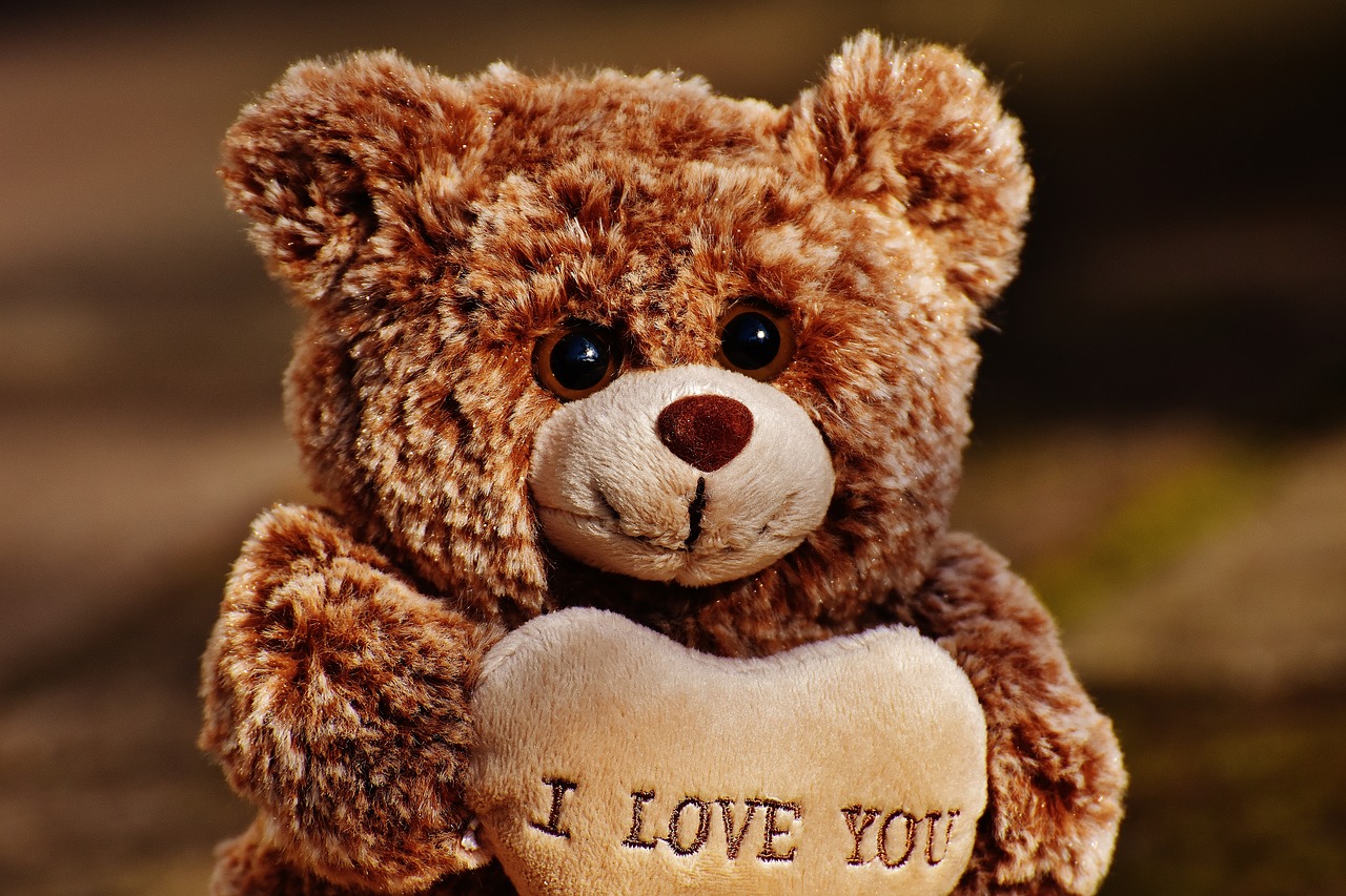 Image - love teddy bears cute
