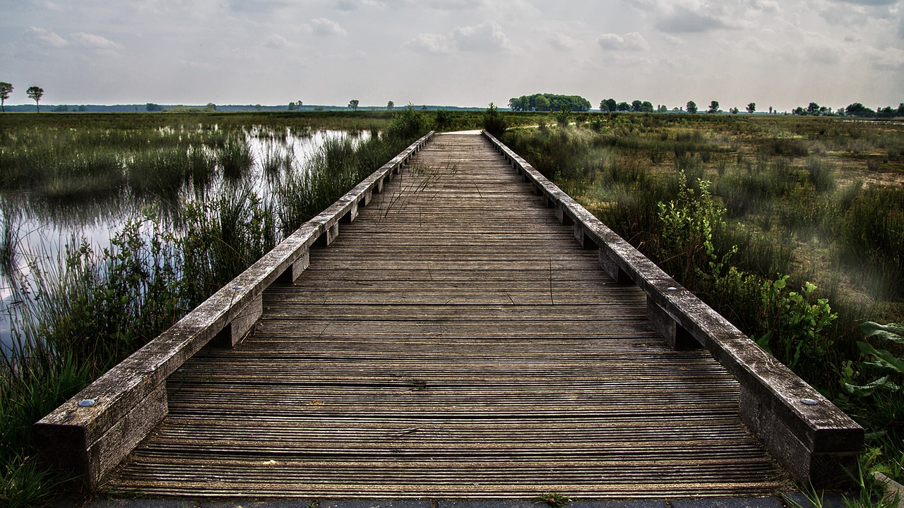 Image - bridge wood landscape nature