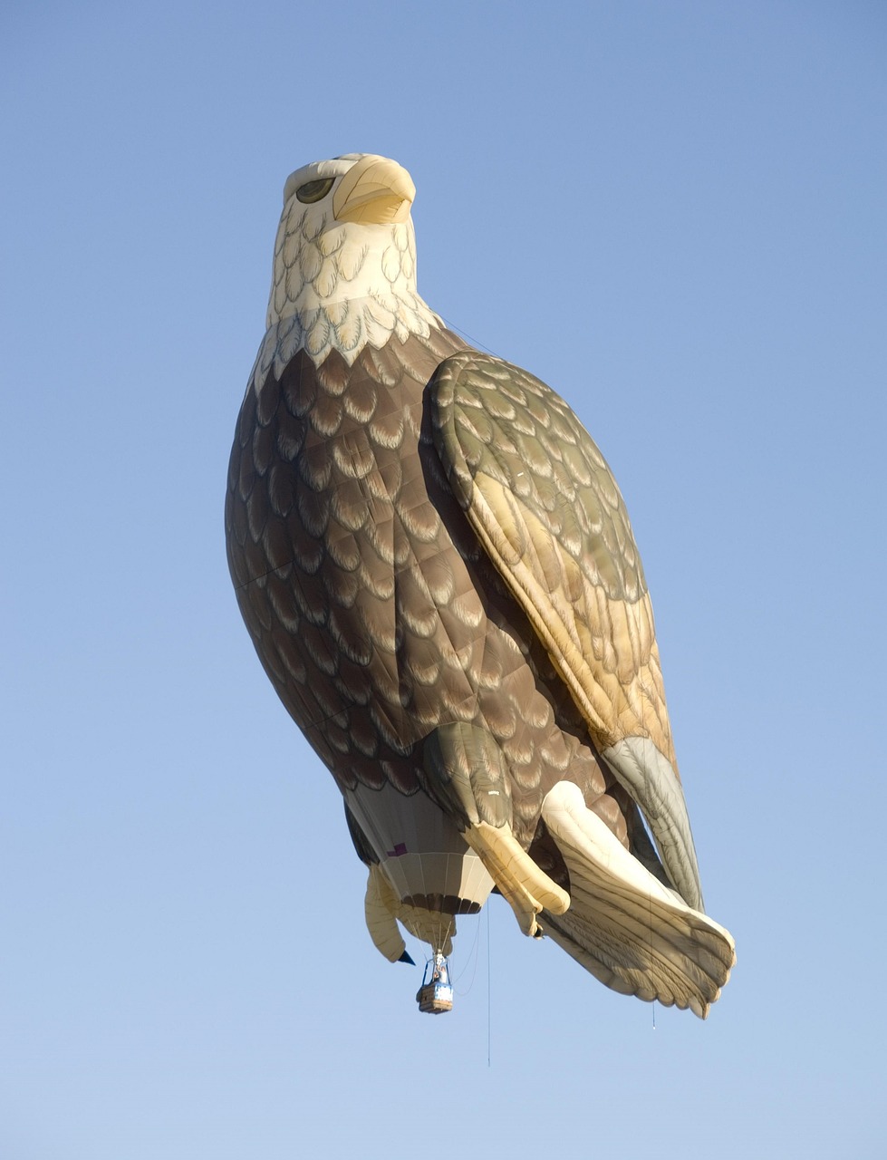 Image - hot air balloon eagle floating fun