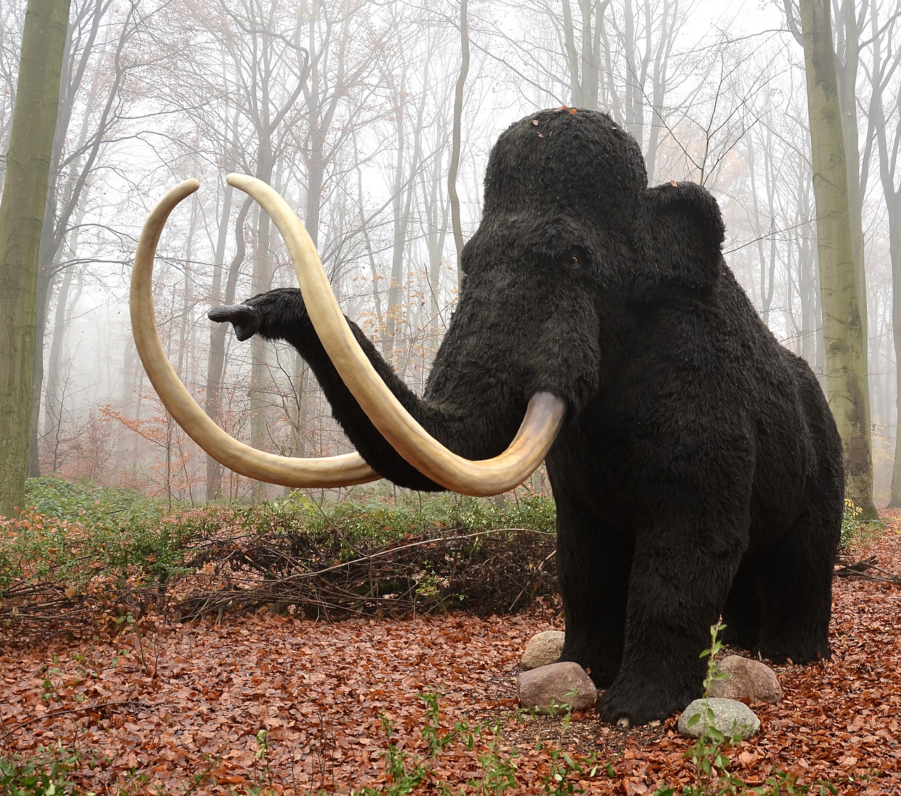 Image - mamut mammal extinct animal