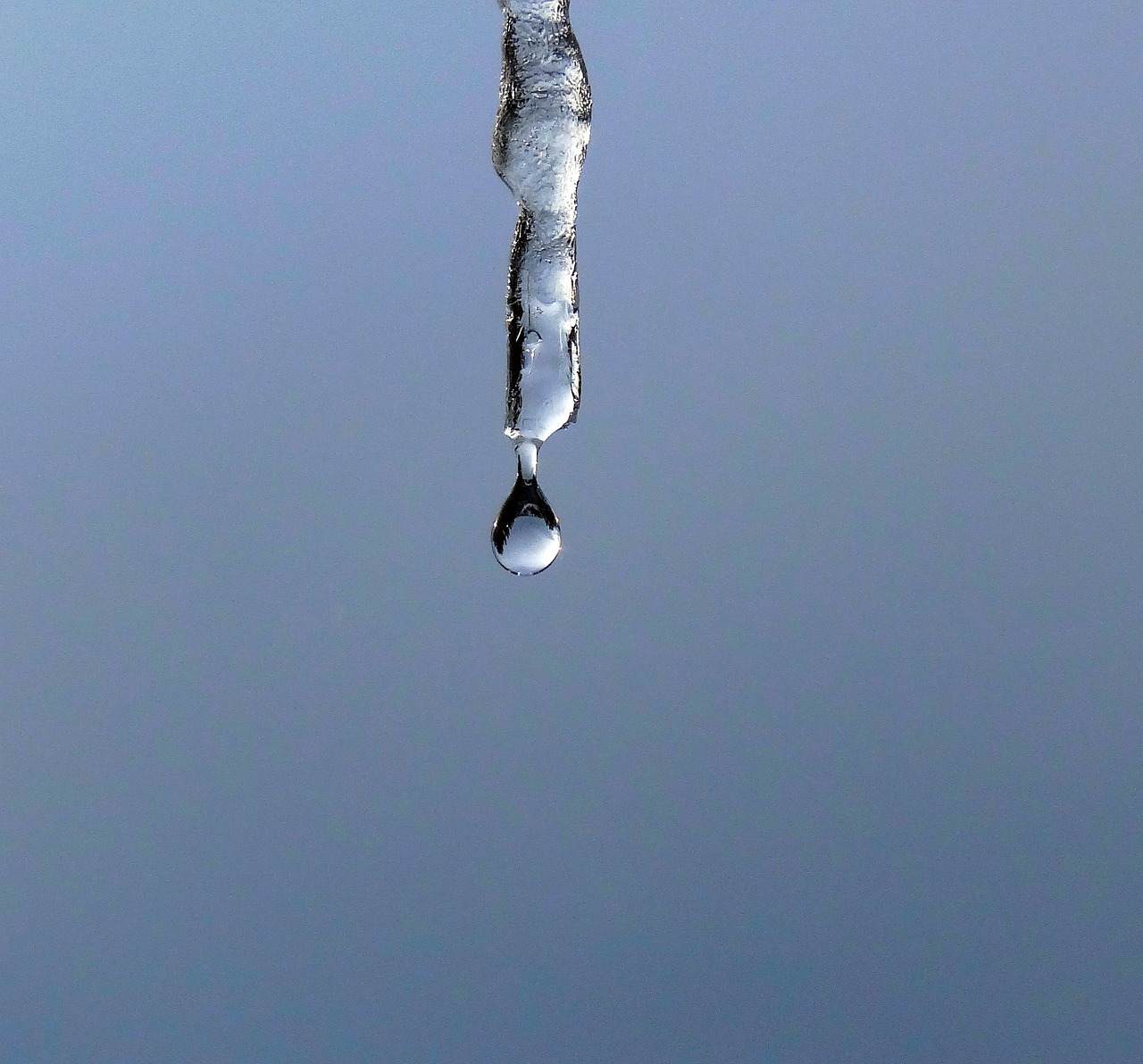 Image - icicle water droplet