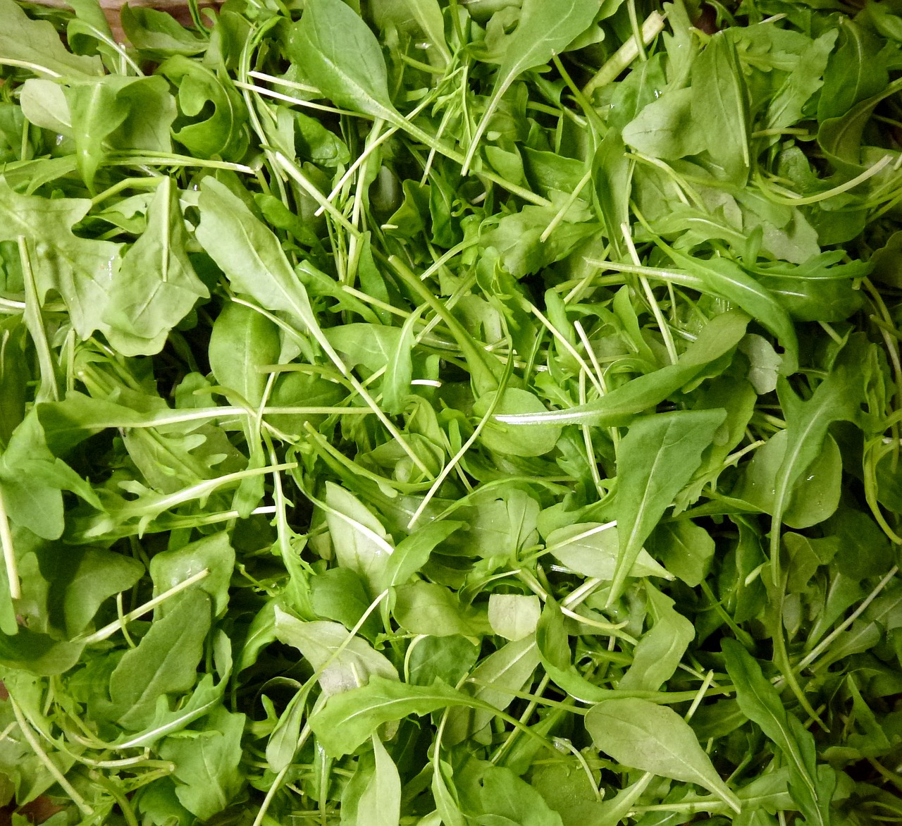 Image - greens salad green healthy food