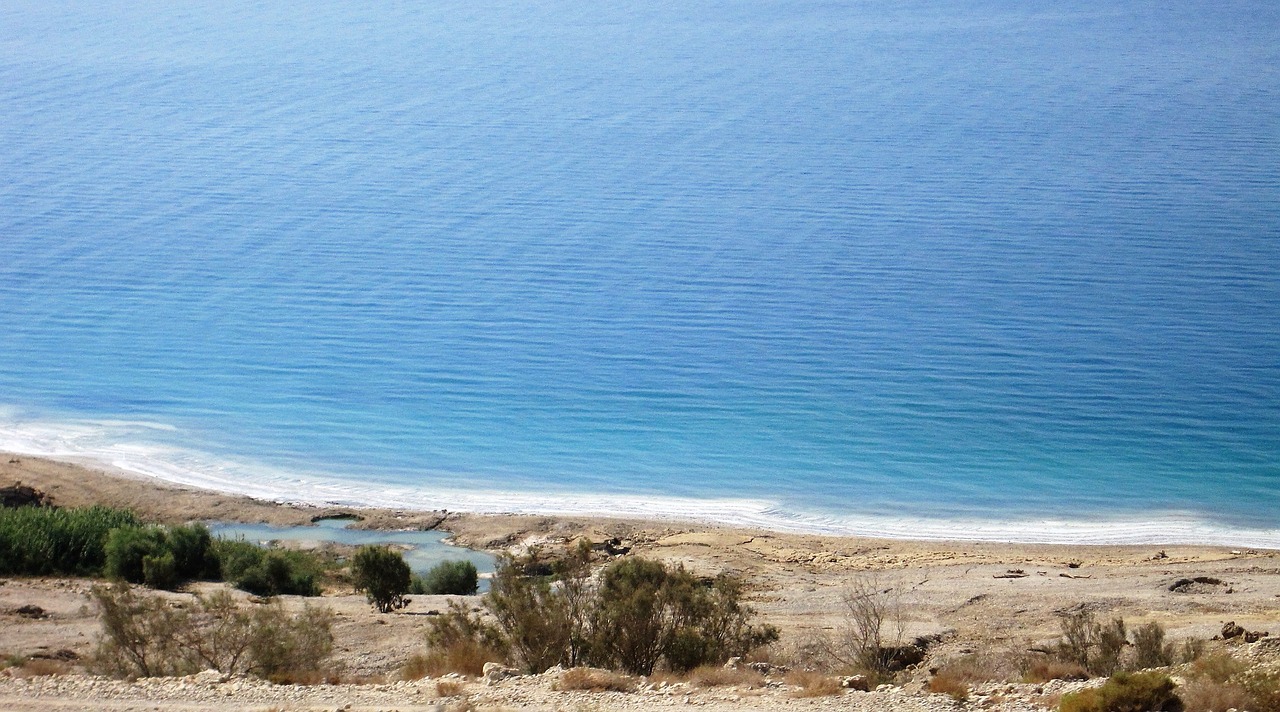 Image - dead sea israel shore beach