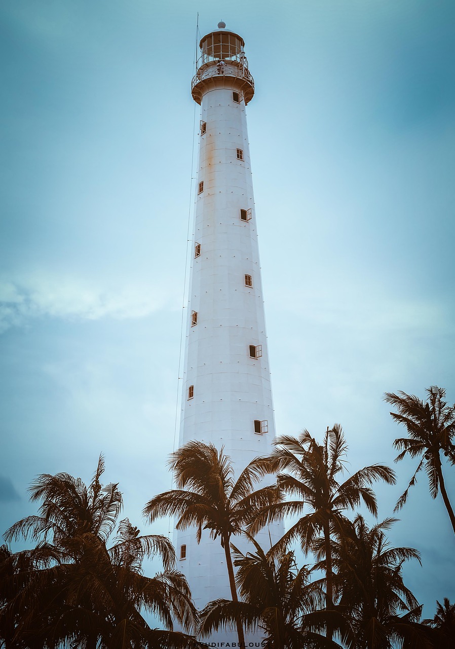 Image - lighthouse tree beach blue sailing