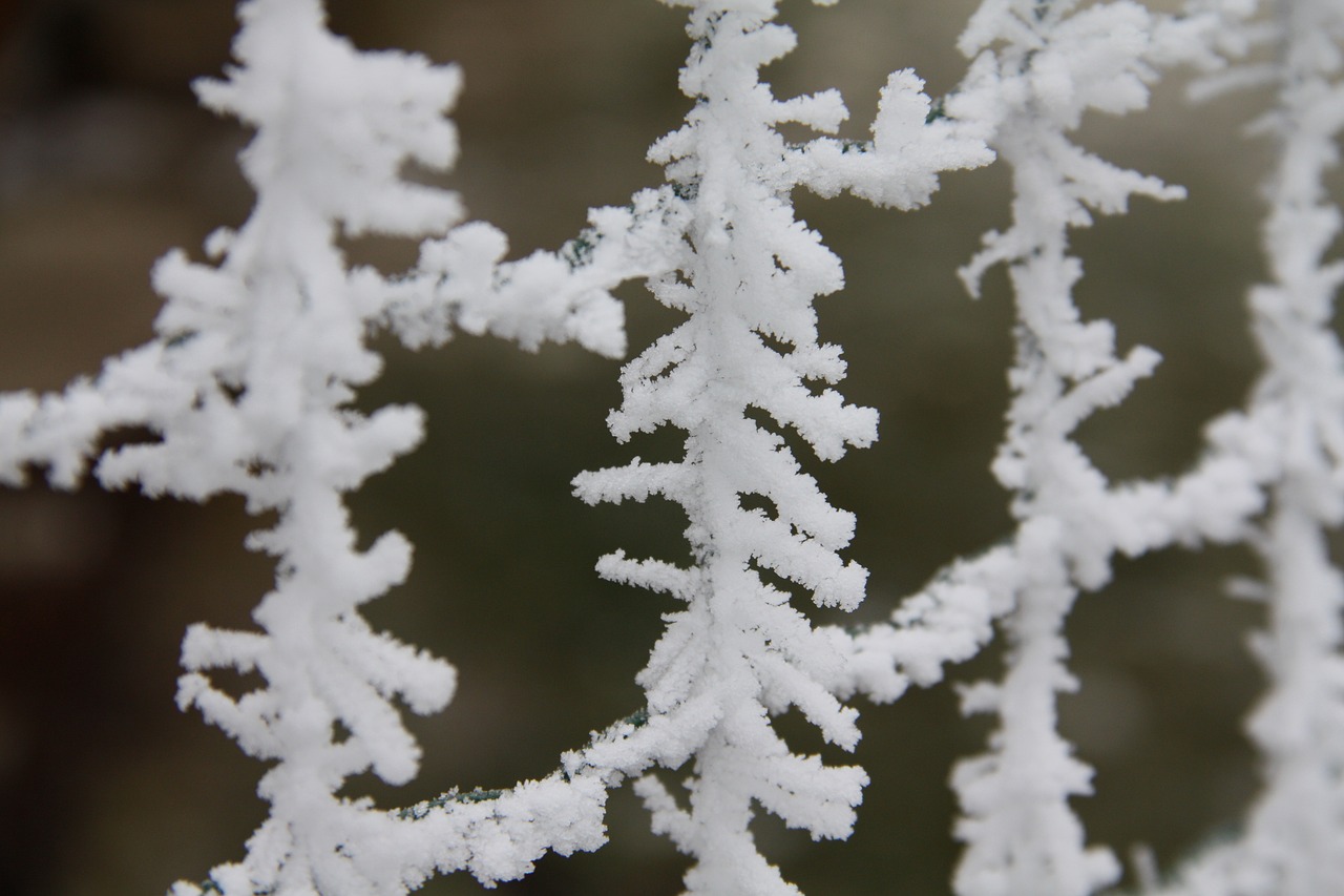 Image - winter snow icing fence nature