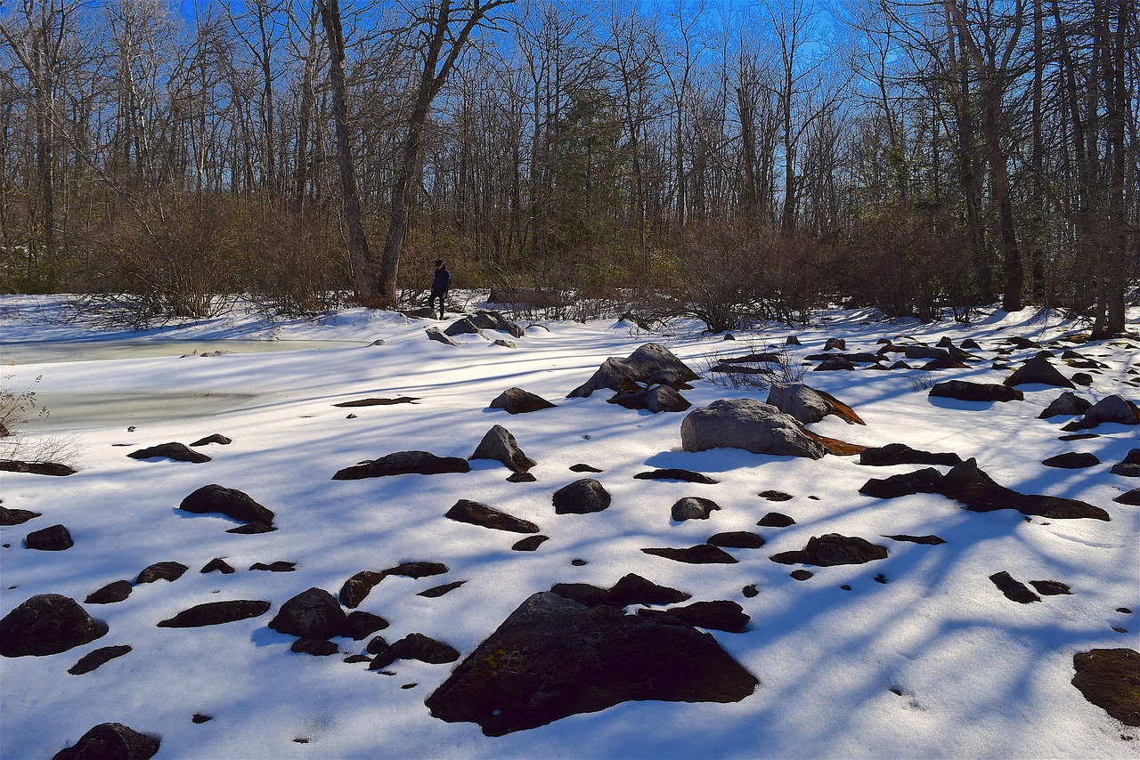 Image - snow rocks shadows park winter