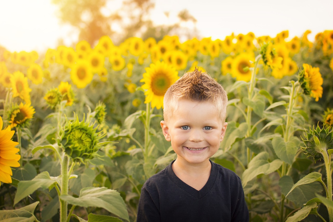 Image - child sun sunflowers field happy