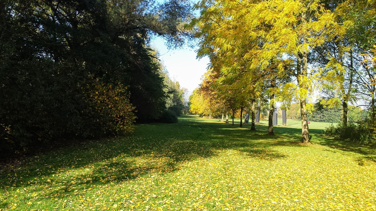 Image - grass garden bloom belgium trees
