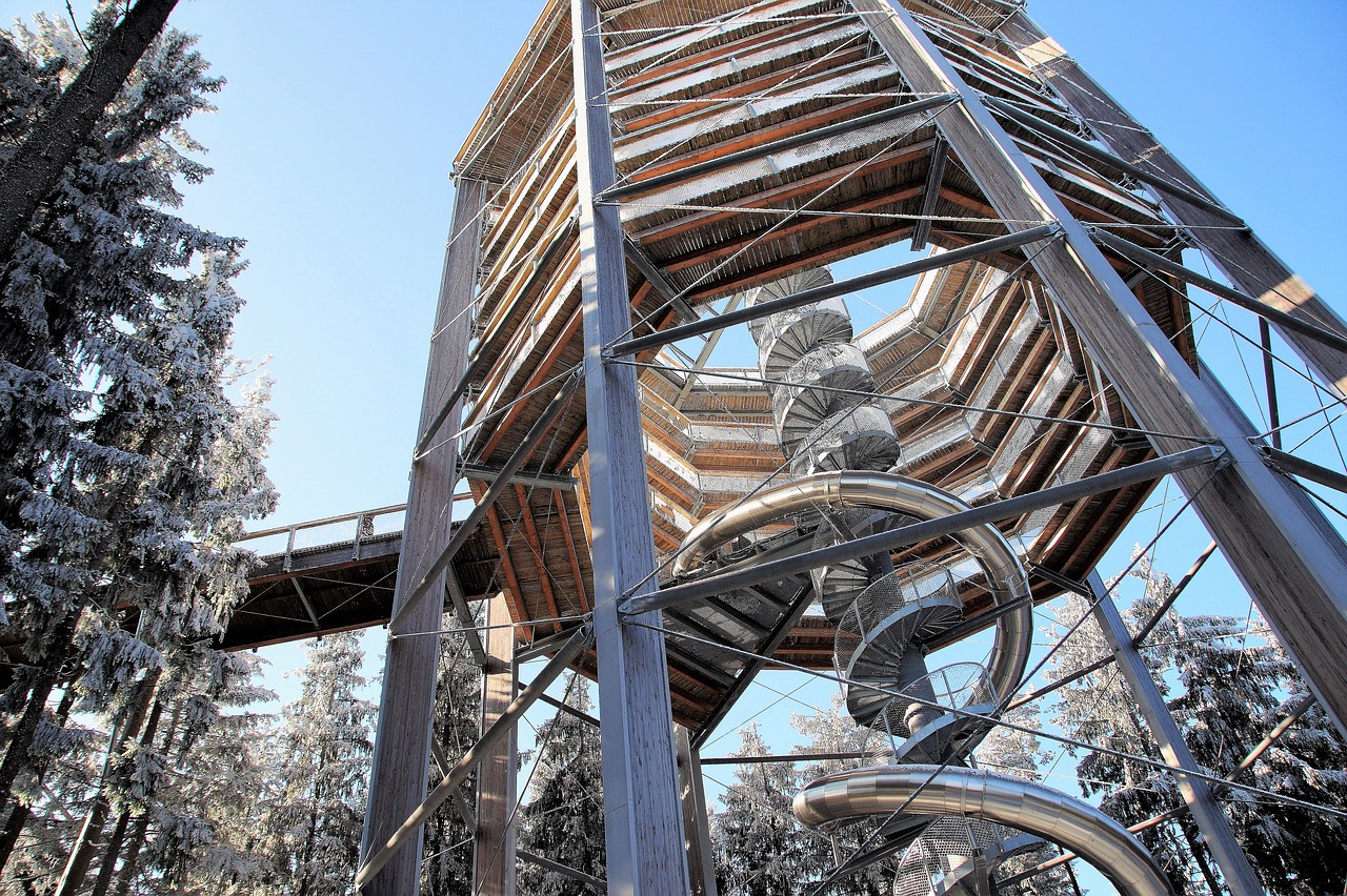 Image - trail treetops lipno czech republic