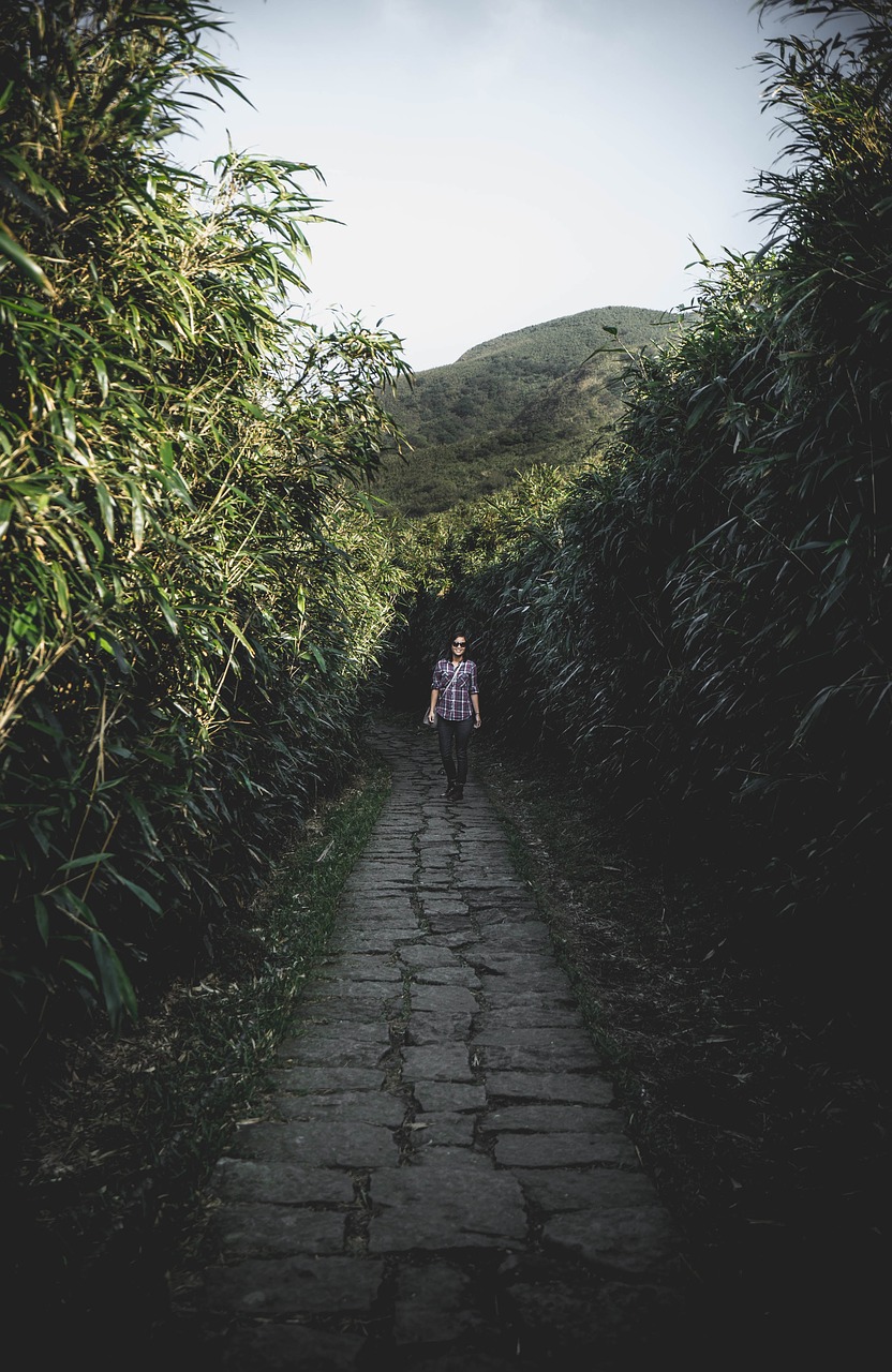 Image - nature chinese greenery hills