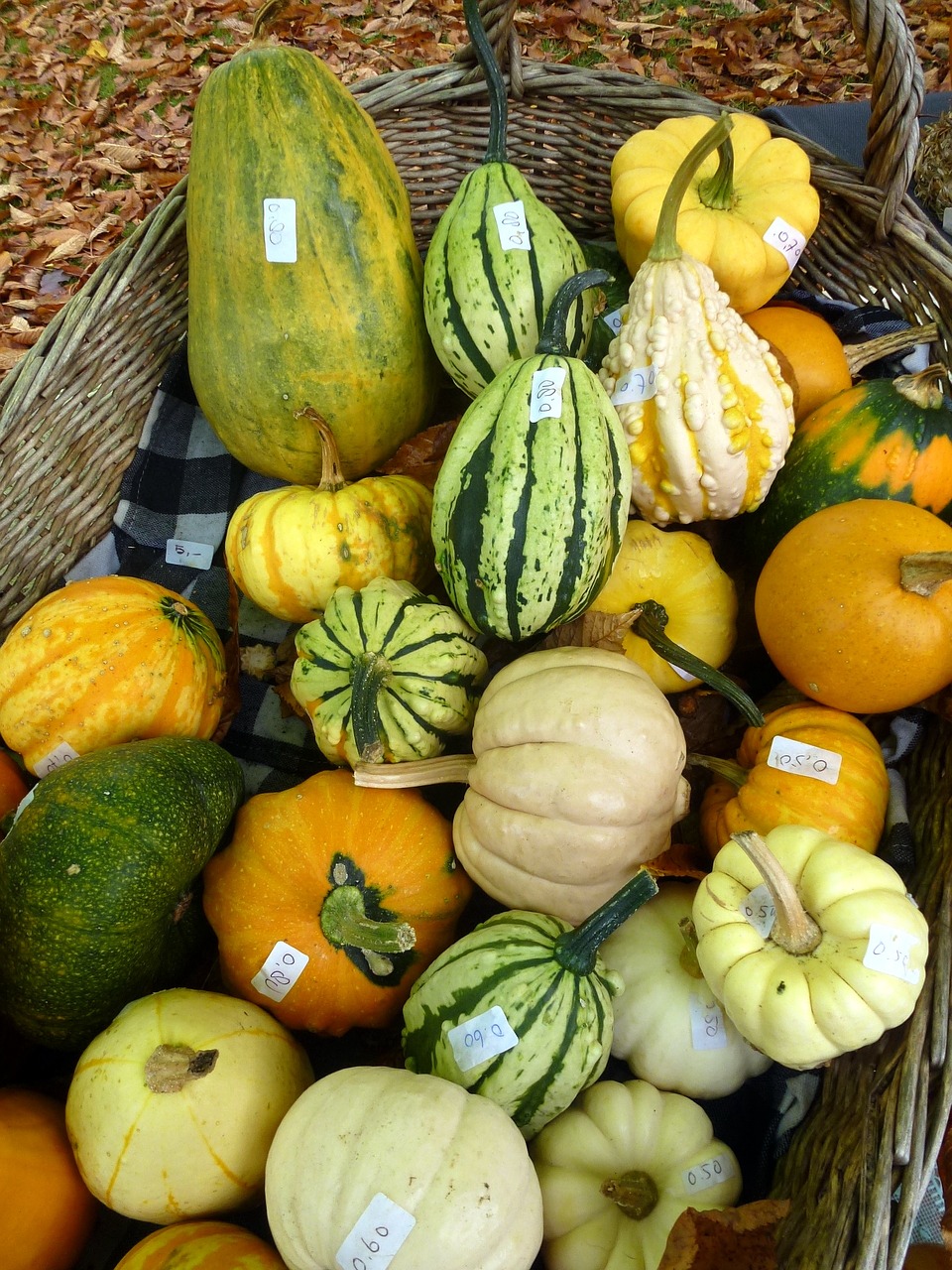 Image - squash pumpkin gourd marrow sell