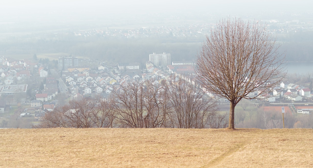 Image - rhine valley michel mountain